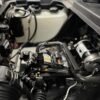 2017 E-Z-GO TXT Gas - Image 5