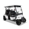 2024 Bintelli Nexus 4 Passenger in White